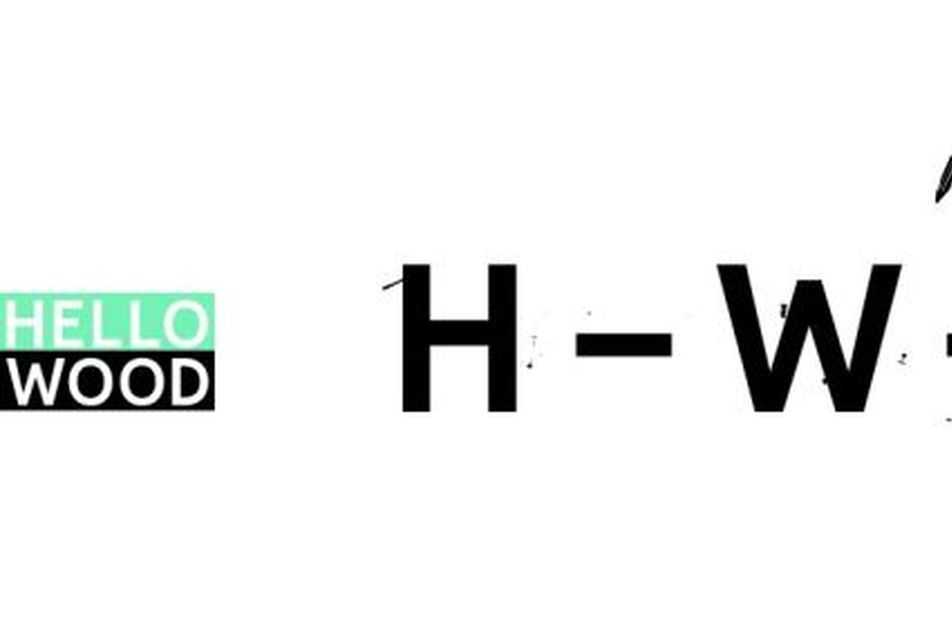 Falu Projekt: a Hello Wood csoportvezetők jelentkezését várja nyári alkotófesztiváljára