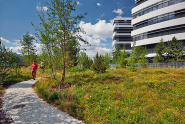 Novo Nordisk Nature Park, Bagsværd. Fotó: Torben Petersen & SLA Architects