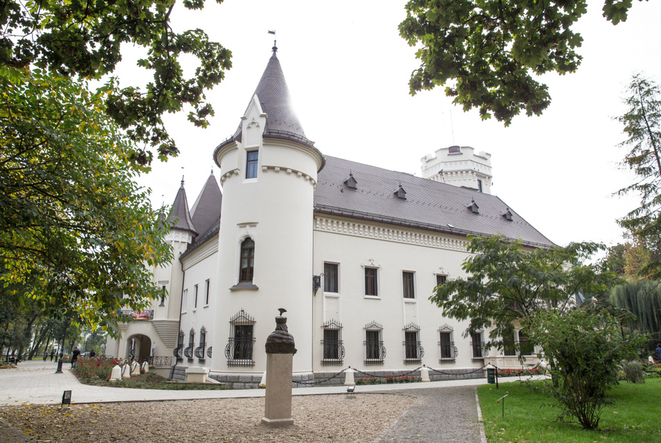 Nagykároly, Károlyi-kastély