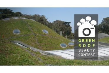Green Roof Beauty Contest 2016.