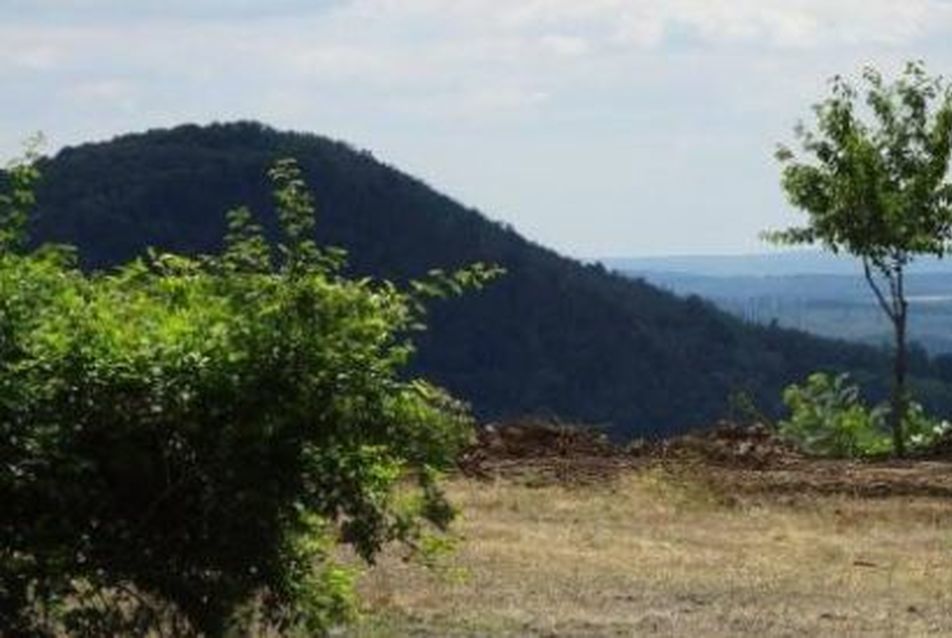 Pályázati felhívás Land Art művek létrehozására