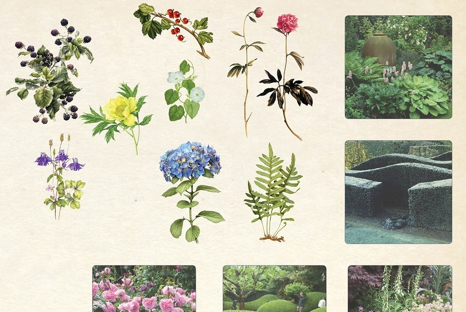 Múzeumkert ötletpályázat, alkalmazott növények: alacsony cserják és évelők - tervezők: Vincze Attila, Rahnama Azadeh, Bognár Emese