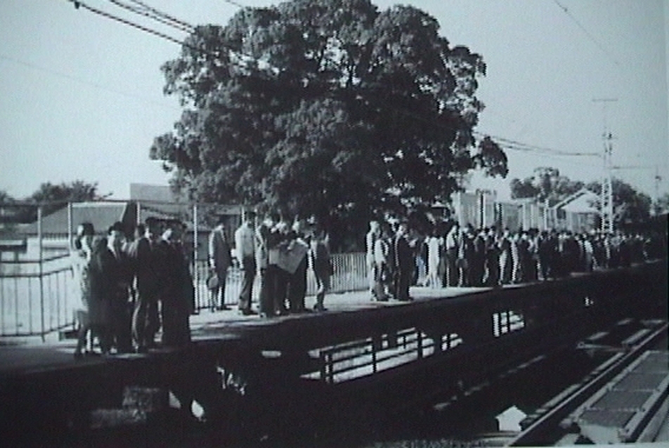 Kajasima állomás az átépítés előtt, előtérben a kámforfával 