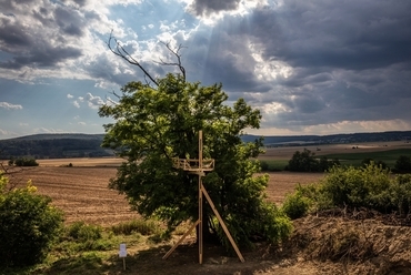 Hello Wood Csóromföldén - fotó: Bujnovszky Tamás