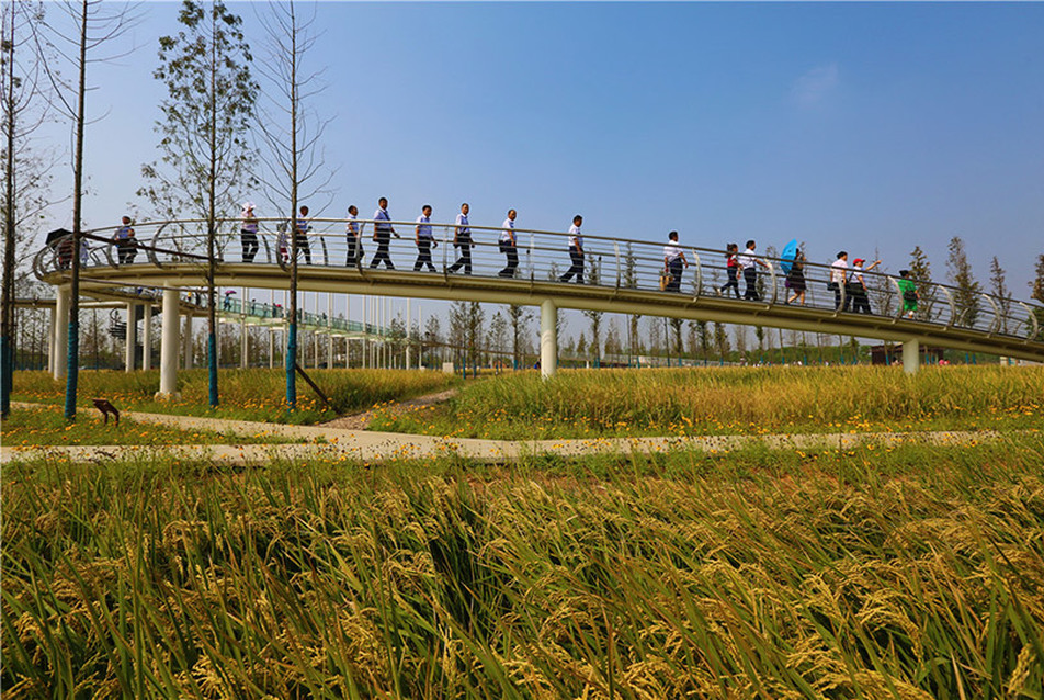 A rizsföldek őse: díjnyertes rekonstrukció Kínában