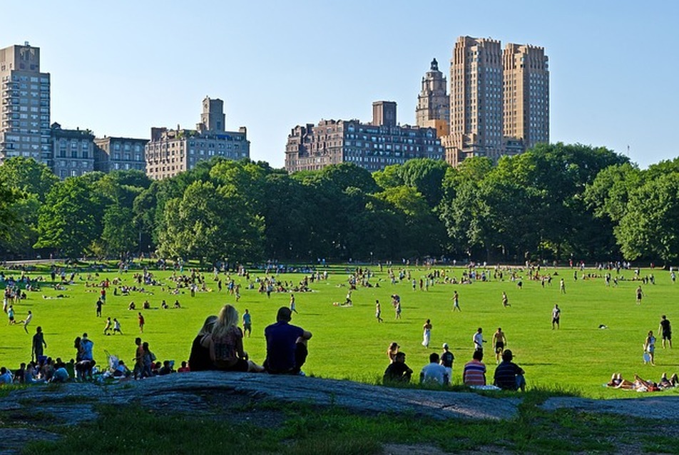 A New York-i Central Park újragondolása - pályázat
