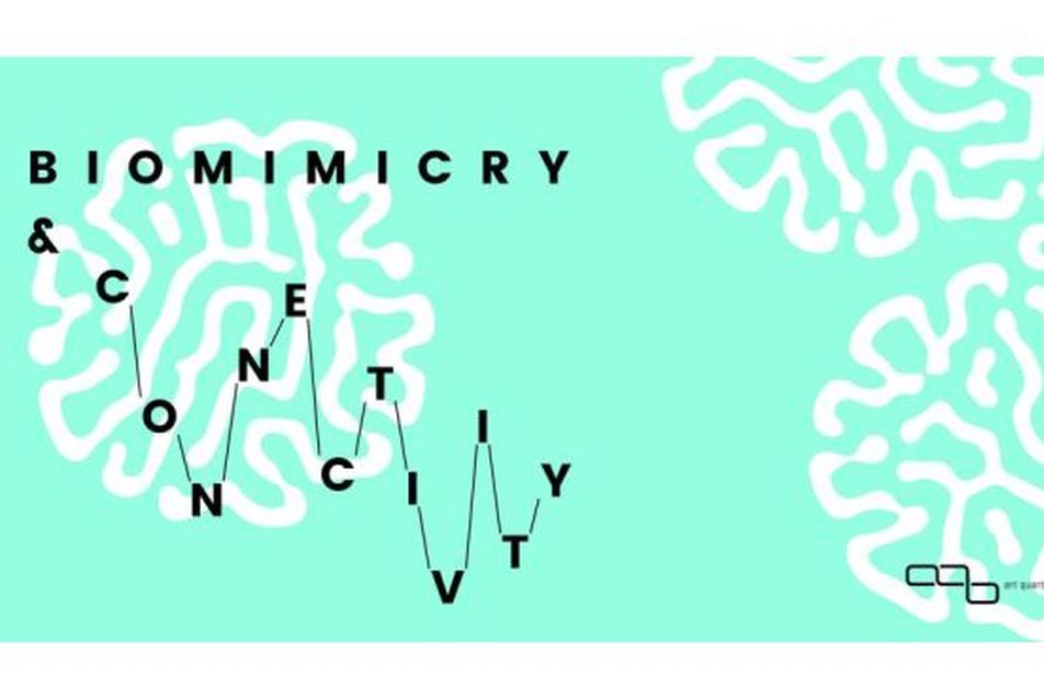 Biomimicry and Connectivity - művészeti műhelymunka