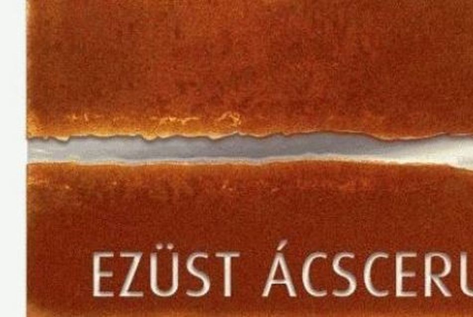 Ezüst Ácsceruza-díj 2018 – a Honi Művészetért Alapítvány pályázata