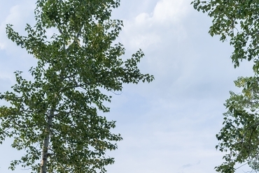 Diébédo Francis Kéré: Xylem pavilon, Tippet Rise Art Center, Montana, USA. Fénykép: Iwan Baan, a Tippet Rise és Iwan Baan jóvoltából.