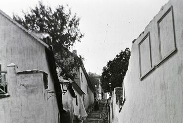 A tabáni Kőműves lépcső 1912-ben, jobbra ez az eperfa lóg ki az udvarból. Fotó: Fortepan