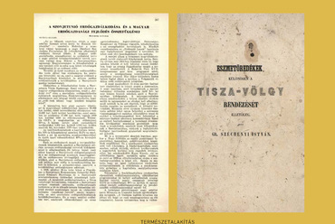 Természetalakítás. Territórium - Velencei Építészeti Biennále 2020 tervpályázat. Alkotók: GUBAHÁMORI, Filip, Demeter László