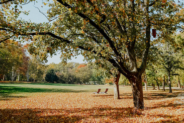 Inspiráló közpark, Erzsébet Liget, Szeged. Fotó: Lépték-Terv Tájépítész Iroda