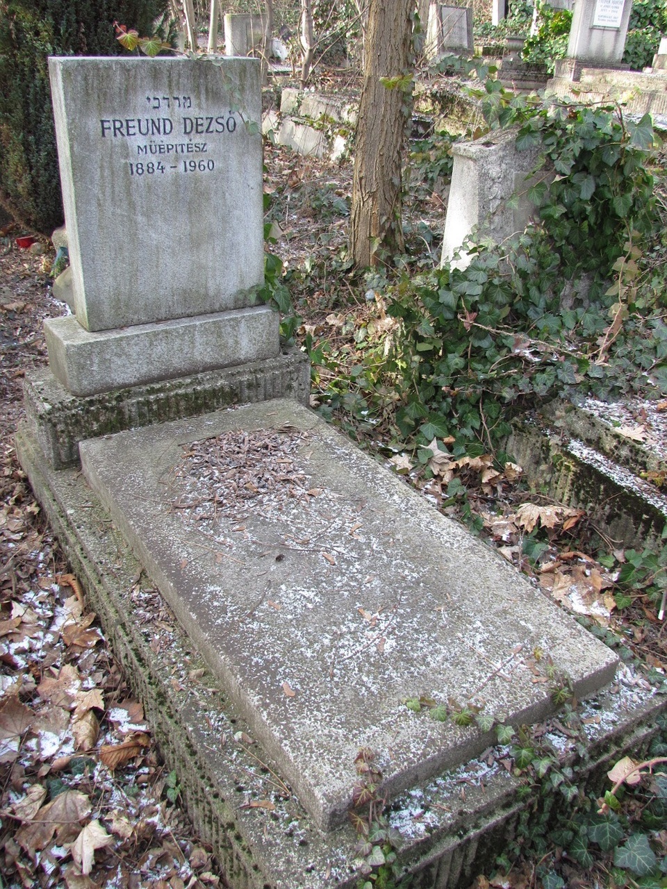 Freund Dezső sírja a Farkasréti zsidó temetőben (Halász László felvétele)