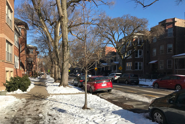 Jellegzetes chicago-i lakóutca: kétoldali fasor széles folyamatos zöldsávban, járda, zöld előkert, szabadonálló, de zártsorúnak tűnő homogén beépítés. –  fotó: Benkő Melinda 2020 január