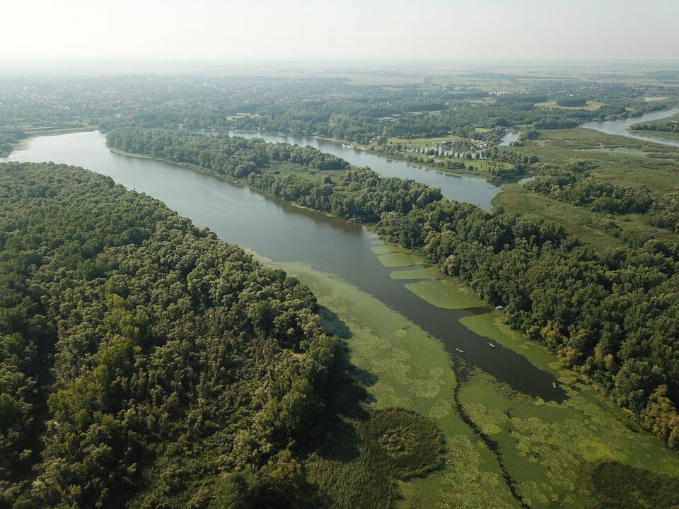 Tisza tó madártávlatból: A mesterséges tó, melyet újra birtokba vett a természet