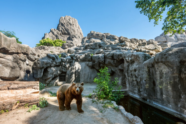 A szegedi víztoronyhoz képest talán kevésbé közismert, hogy a budapesti állatkert műsziklája szintén hazánk korai, immár több mint 110 éves vasbeton épületeinek egyike.