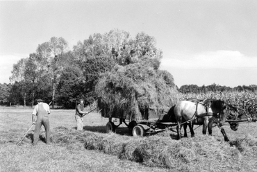 Szénahordás a háztájiban. Szalafő, 1974. Szabadtéri Néprajzi Múzeum/Bíró Friderika