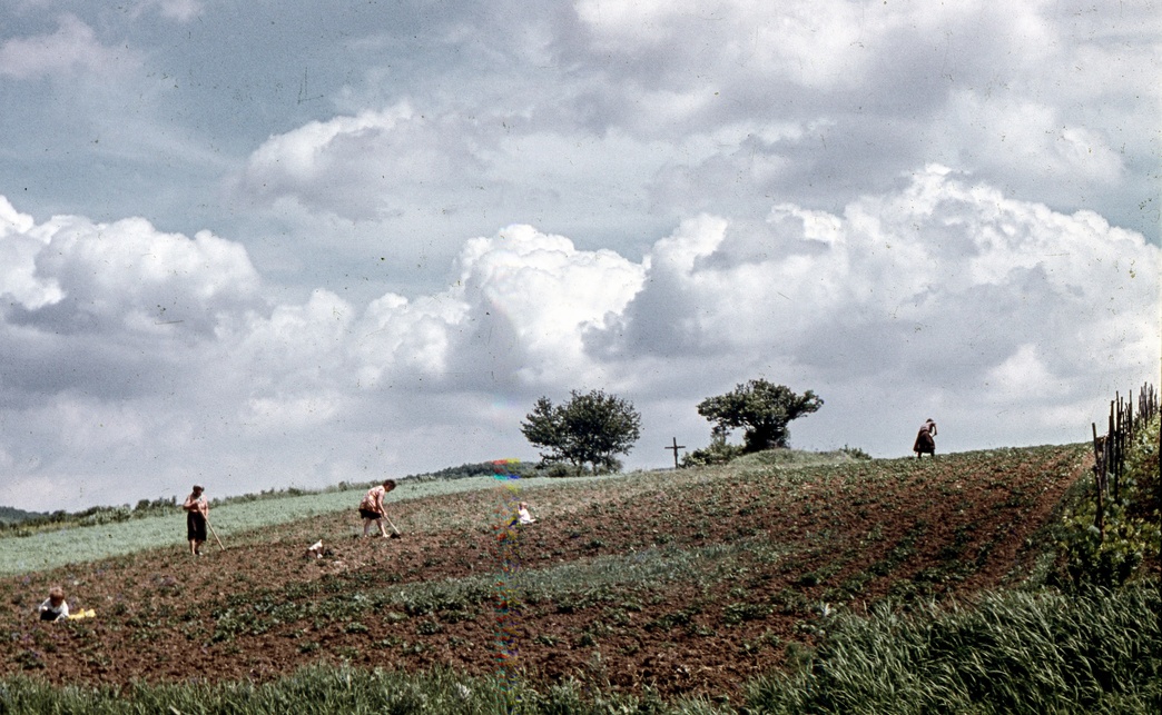 Háztáji munka. Pilisszentlászló, 1969. Fortepan / Zsanda Zsolt