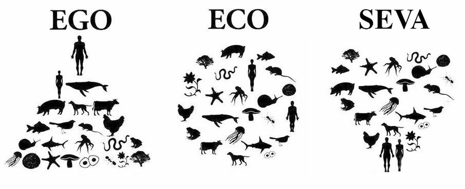 Az Ego-Eco-Seva ábrázolása.  Forrás: [2]