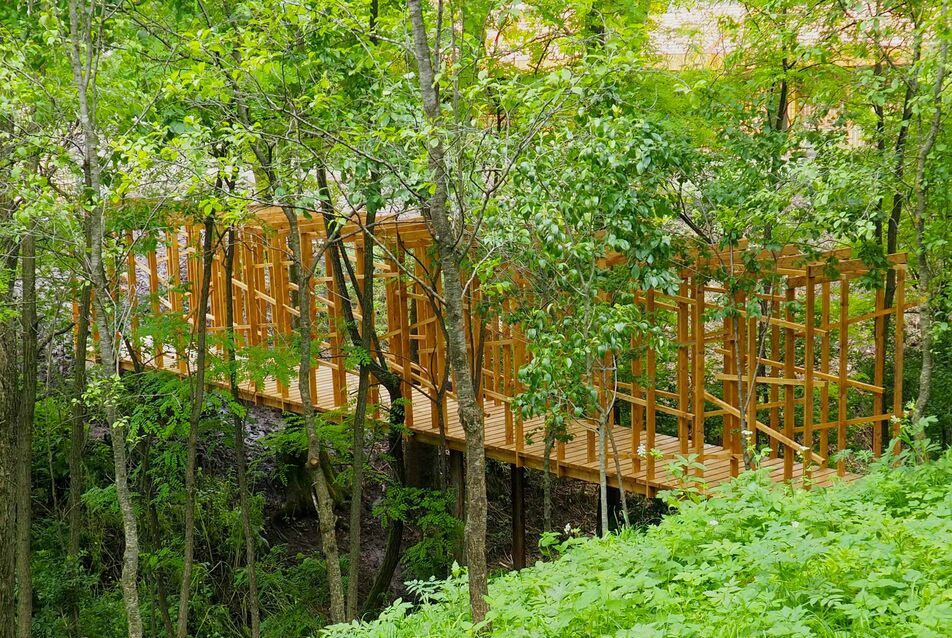 Hídépítés a “bivalytenyésztés hazájában” – MOME közösségi építés az erdélyi Méra Világzenei Csűrfesztiválra