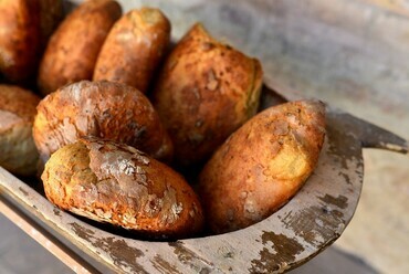 Kovászos kenyerek Pékségünkben – fotó: Kazinczy Gyöngyvér