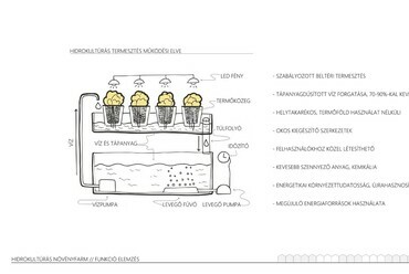 Hidrokultúrás Növényfarm – Virág Evelin diplomamunkája