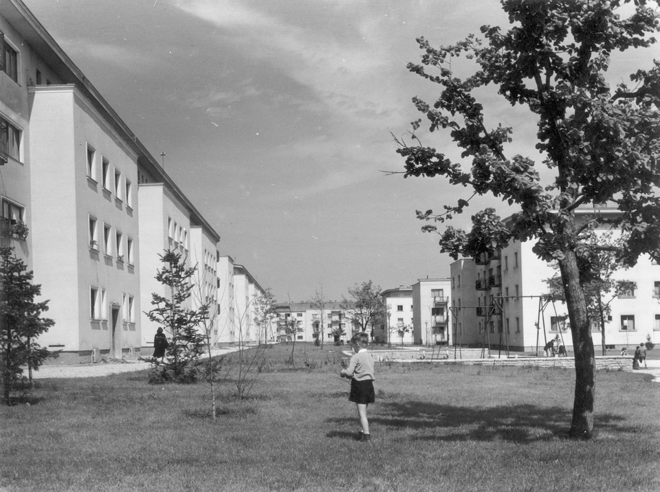 (Sztálinváros), balra a Május 1. utca házainak hátsó frontja az Ady Endre utcától a Babits Mihály utca felé nézve. 1953. Fortepan / Gallai Sándor