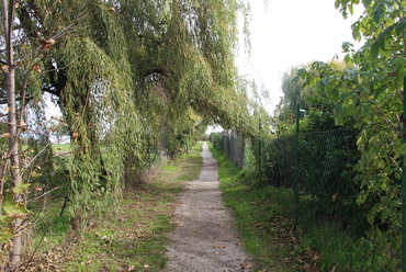 Balatonalmádi, a Lottótelep környezete / Fotó: Wettstein Domonkos