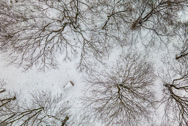 Nagy Zsinagóga Emlékpark Oświęcim-ben. Tervező: Narchitektura Fotó: Piotr Strycharski