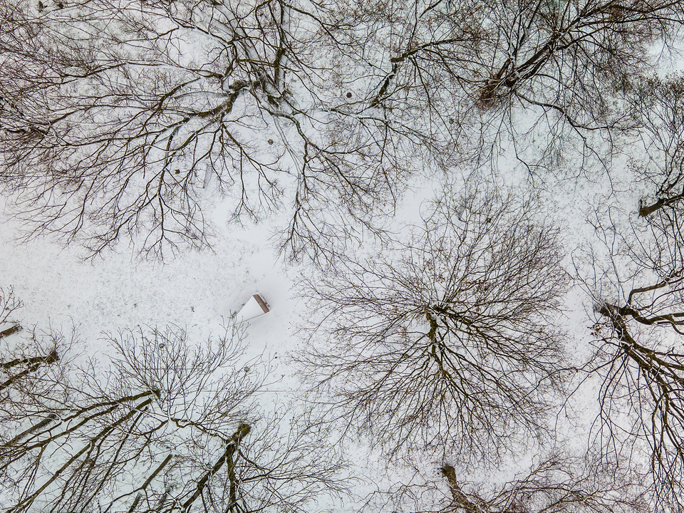 Nagy Zsinagóga Emlékpark Oświęcim-ben. Tervező: Narchitektura Fotó: Piotr Strycharski