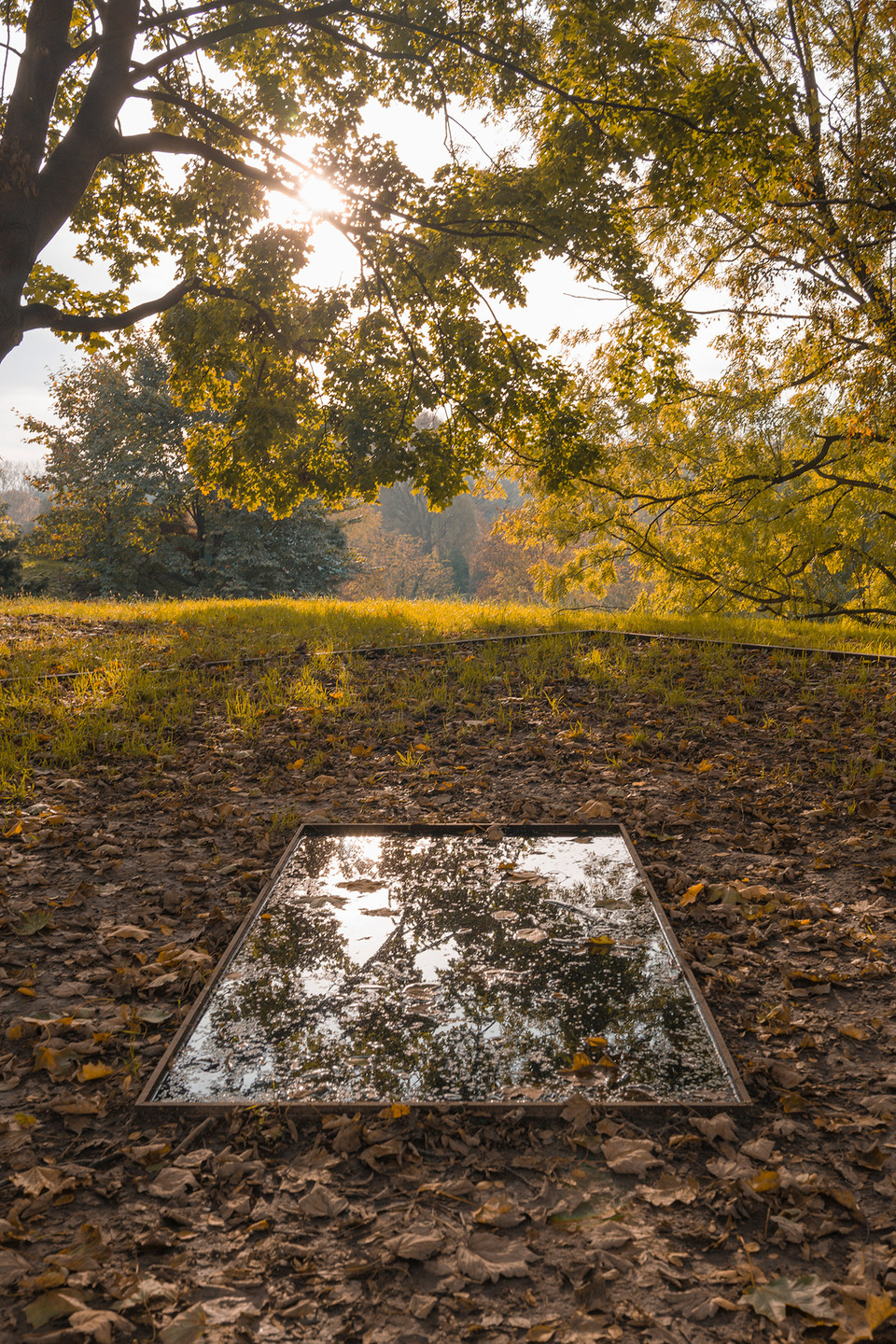 Nagy Zsinagóga Emlékpark Oświęcim-ben. Tervező: Narchitektura Fotó: Bartosz Haduch, Piotr Strycharski