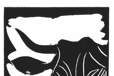 ÁTÍRÓTÖMB: Eseménynapló 20 db bikáról – A Kővágóörs Alkotótábor könyvbemutatója