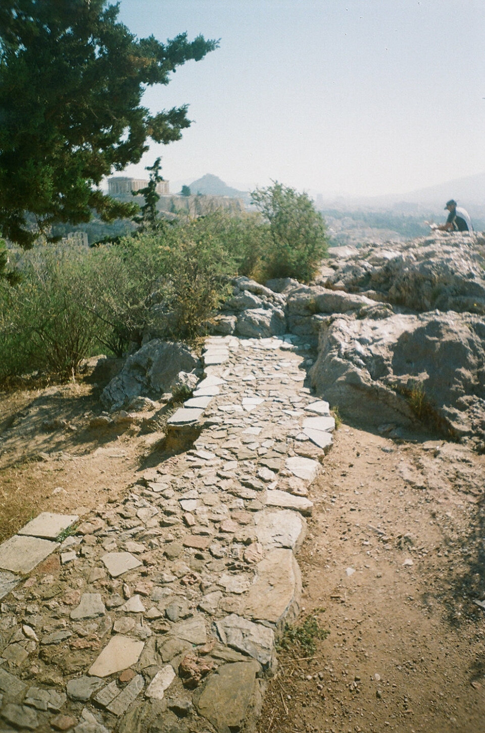 	Az akropoliszi ösvényhálózat részlete. Fotó: Rob Champion. Forrás: tarn.studio