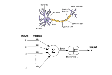 McCulloch and Pitts // első mesterséges neuron matematikai modellje
