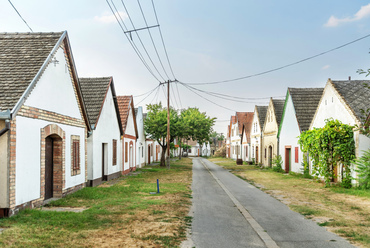 A jellemző utcakép a legtöbb helyen ma is a német ajkú falvakat idézi. A módosabb hajósi családoknak általában két pincéjük is volt, egy a bor számára, egy másik pedig a zöldségeknek és gyümölcsöknek.


 
