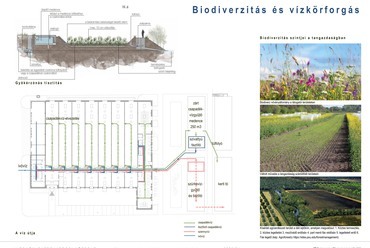 Biodiverzitás és vízkörforgás
