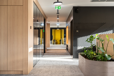 A Magyar Doka Kft. megújult irodája. Tervező: UPPER Design Studio. Fotó: Hlinka Zsolt
