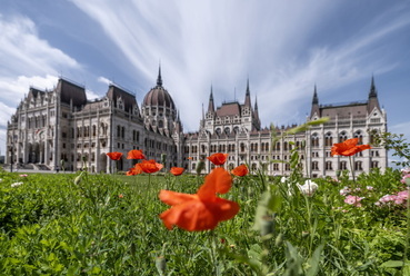 Bátor kezdeményezés egy sűrűn nyírt cserjesáv helyett biodiverz növénykiültetést rendelni a Parlament köré. Tisztelet érte.  // Vezető tervező tájépítész: Vincze Attila - biodiverz kiültetés

