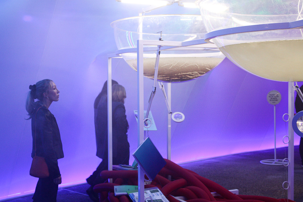 10. 'Water Parliaments: Projective Ecosocial Architectures' – a katalán pavilon. Fotó: Borenich Levente
