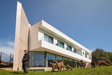 The Red Goat, Pristina, Koszovó / Maden Group

