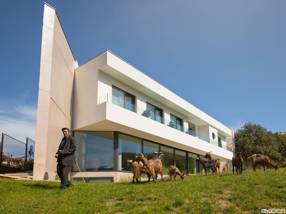 The Red Goat, Pristina, Koszovó / Maden Group
