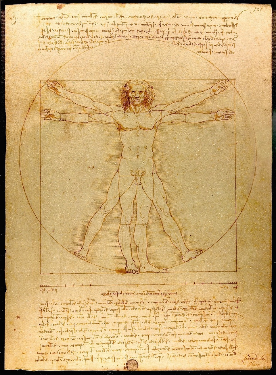 Leonardo, Vitruvius tanulmány // Wiki Commons
